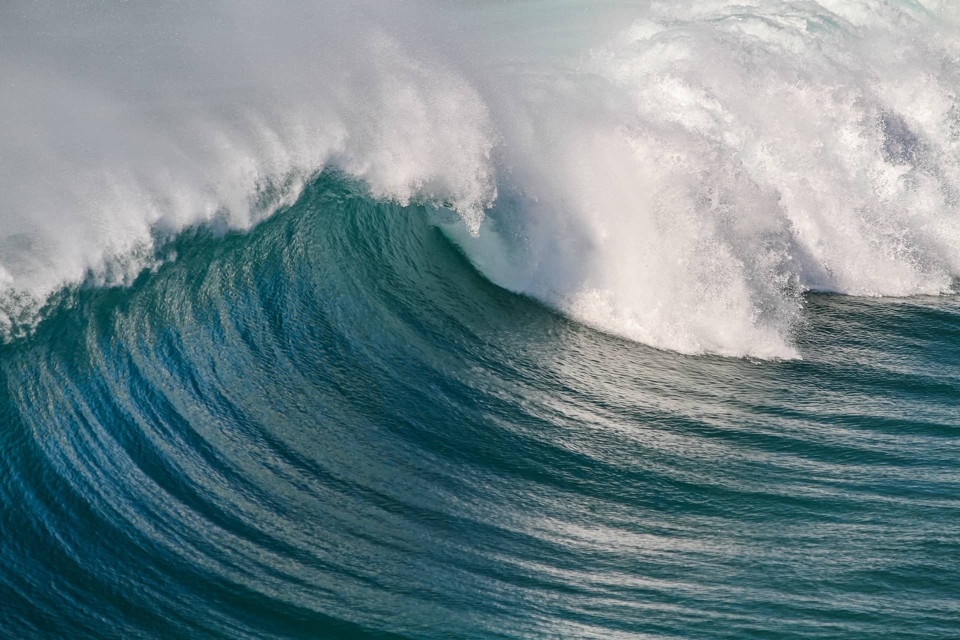closeup-shot-ocean-waves-creating-beautiful-curve (1) (1)