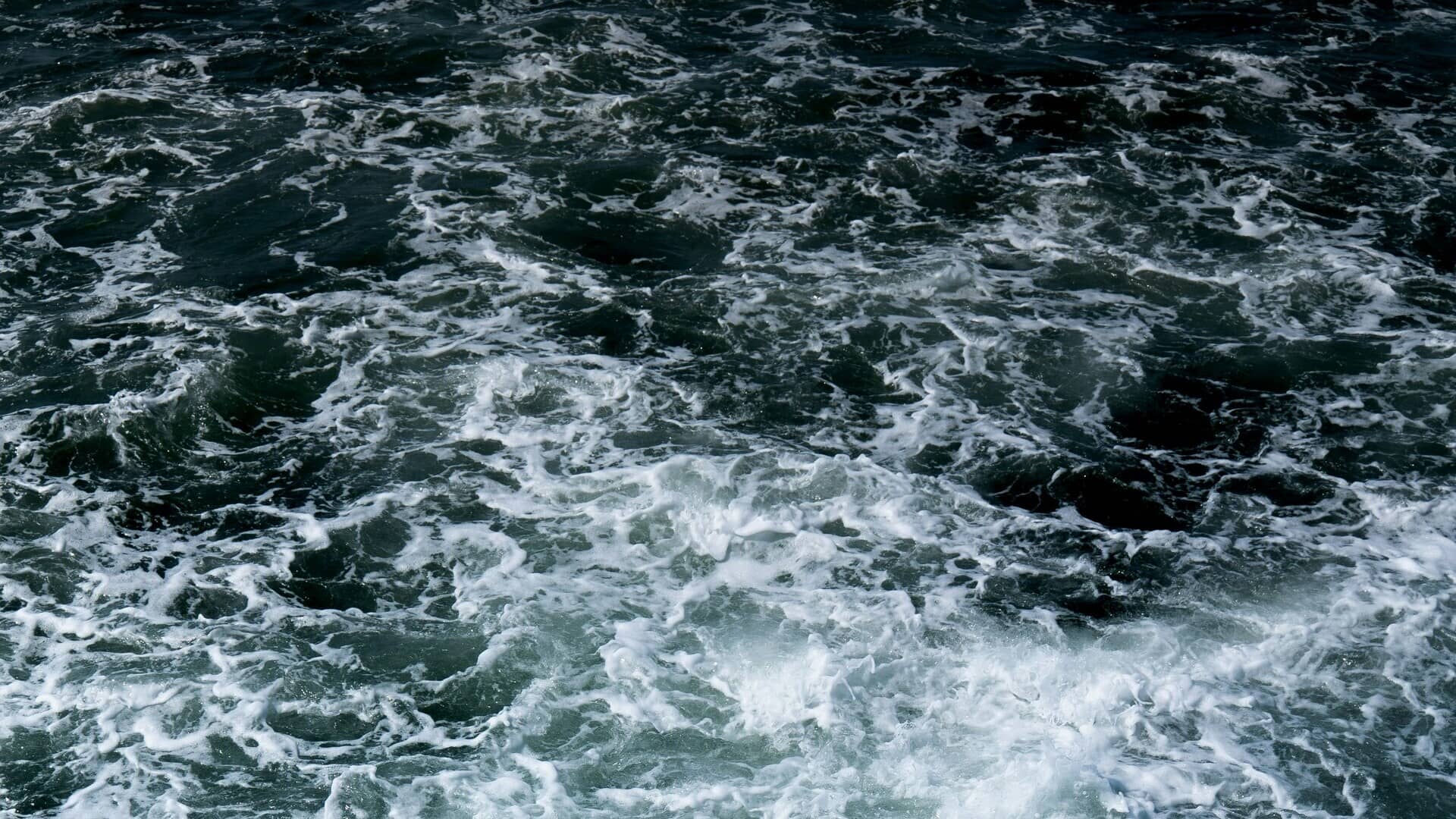salar-WYj7gClfYdk-unsplash (1) (1) (1)