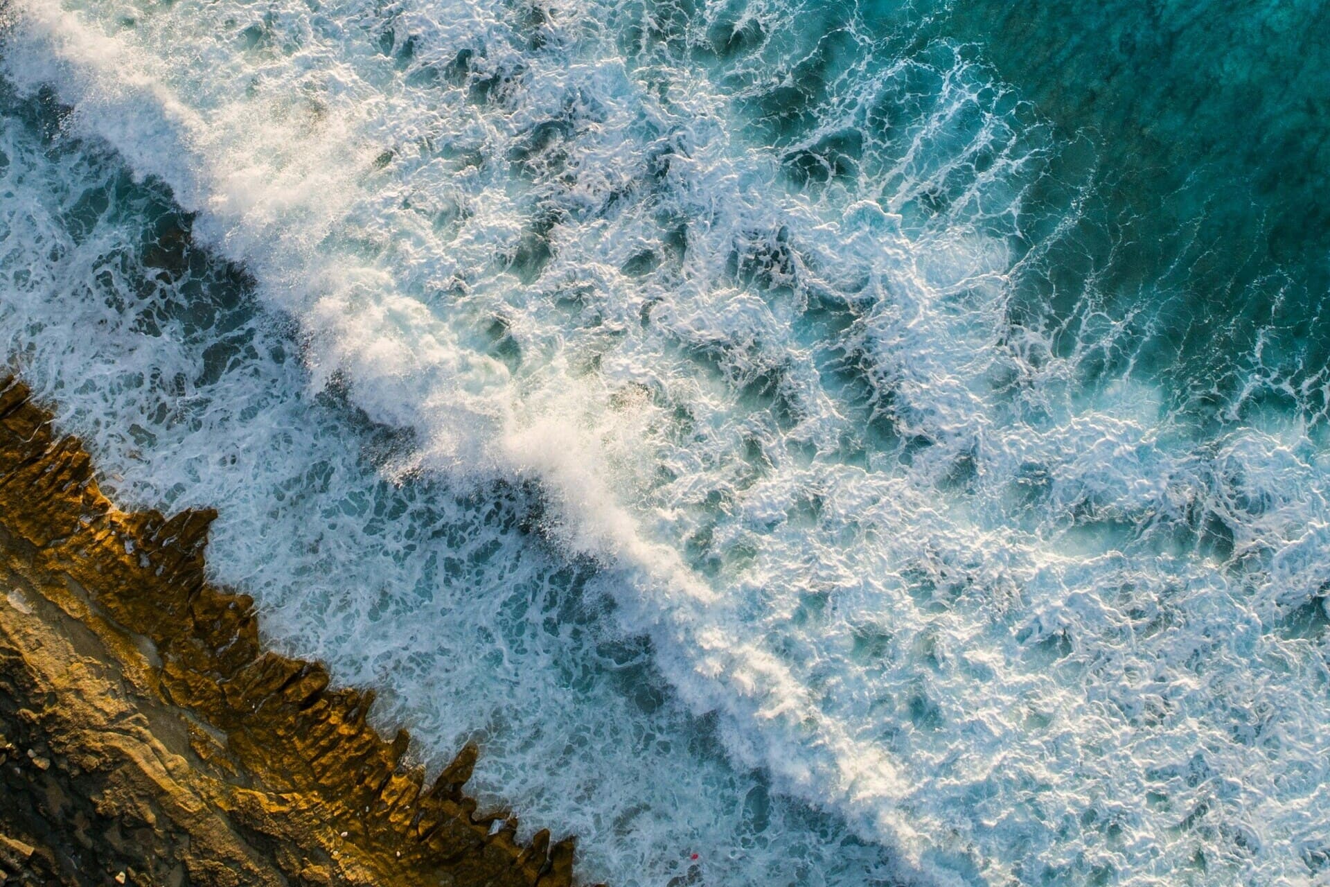 shifaaz-shamoon-oR0uERTVyD0-unsplash (1) (1) (1)