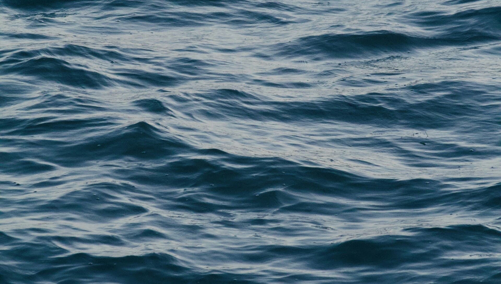 paola-mier-7tJ6Y5bw7FA-unsplash (1) (1) (1)